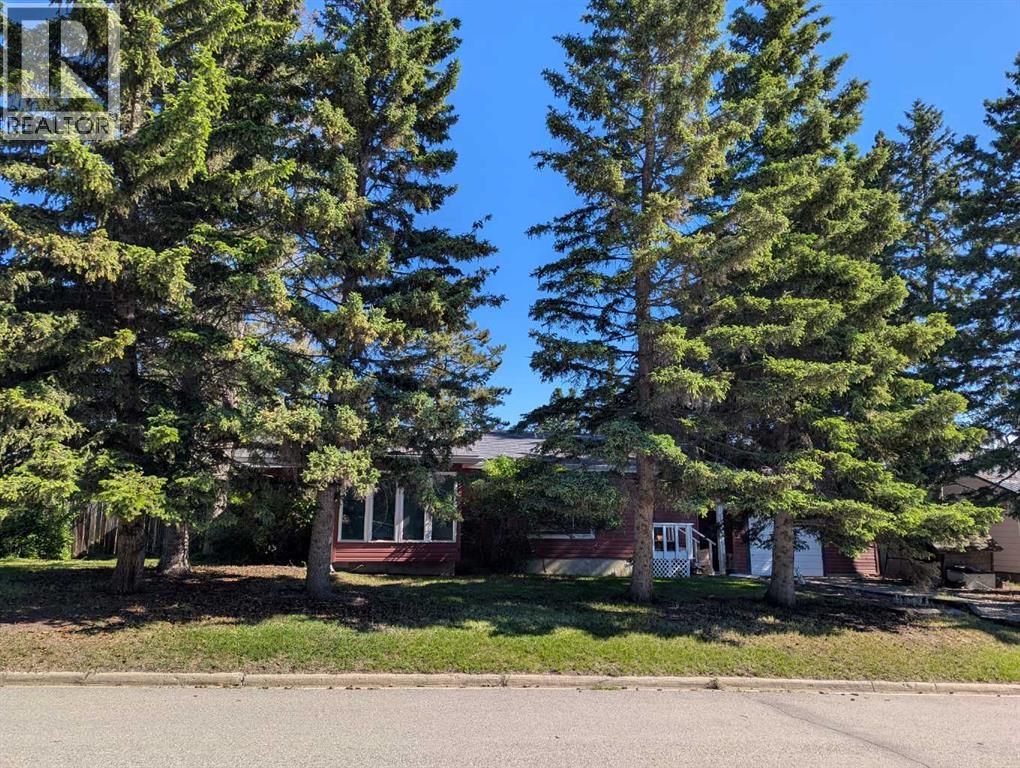 306 Windsor Avenue, Diamond Valley, Alberta  T0L 2A0 - Photo 1 - A2322946