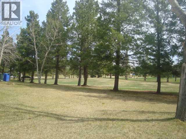 2 Trochu Avenue, Trochu, Alberta  T0M 2C0 - Photo 12 - A2321552