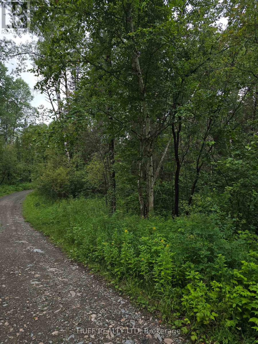 Pcl 15528 & 15527 Martin Bird Road, Kirkland Lake (Larder Lake), Ontario  P0K 1L0 - Photo 1 - T13654964