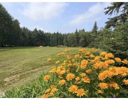 3306 Rail Grade Rd, Rural Lac Ste. Anne County, Alberta T0E 0A0 (30133287)