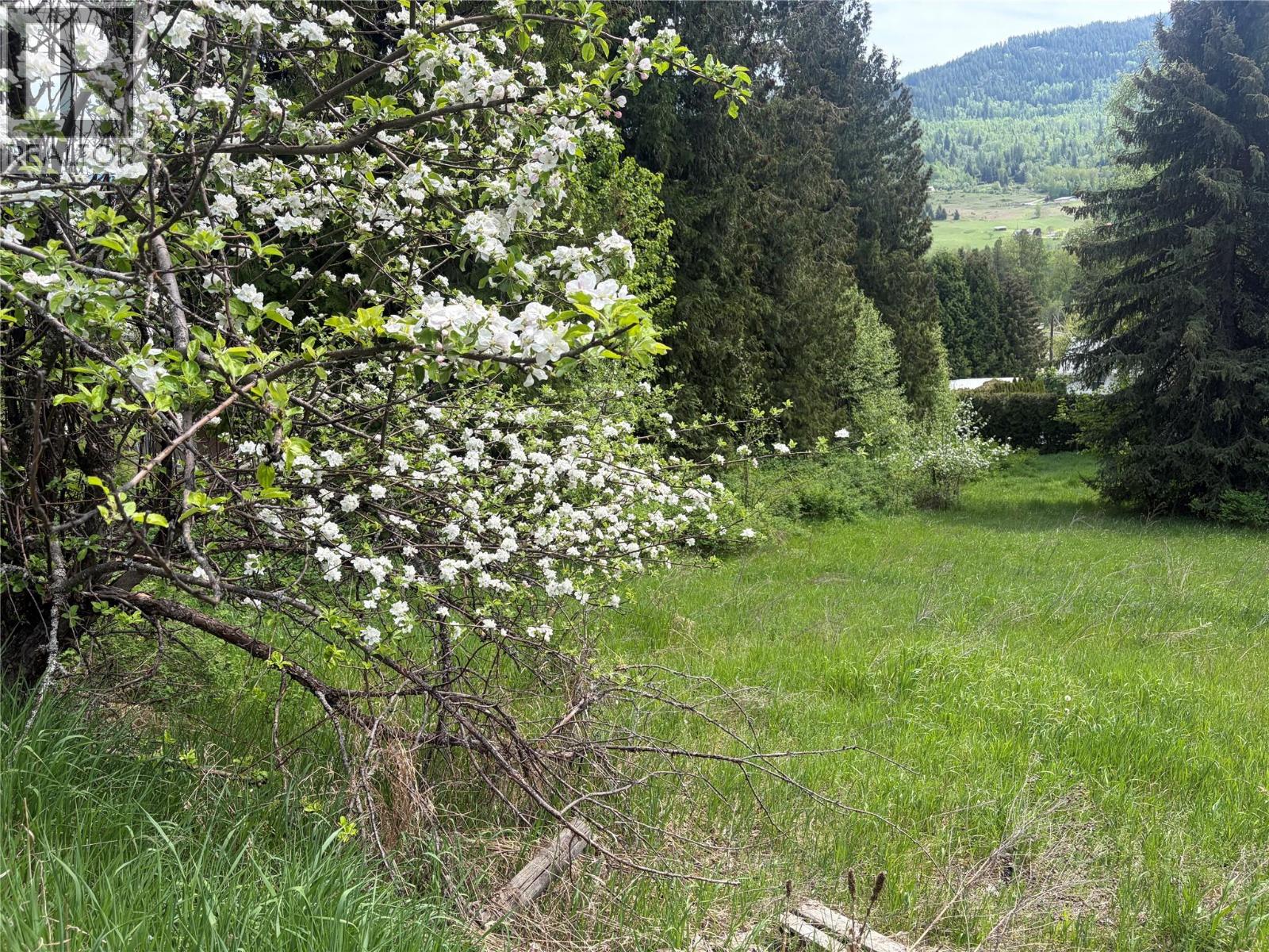 Lot 2 Christie Road, Montrose, British Columbia  V0G 1P0 - Photo 5 - 10386437