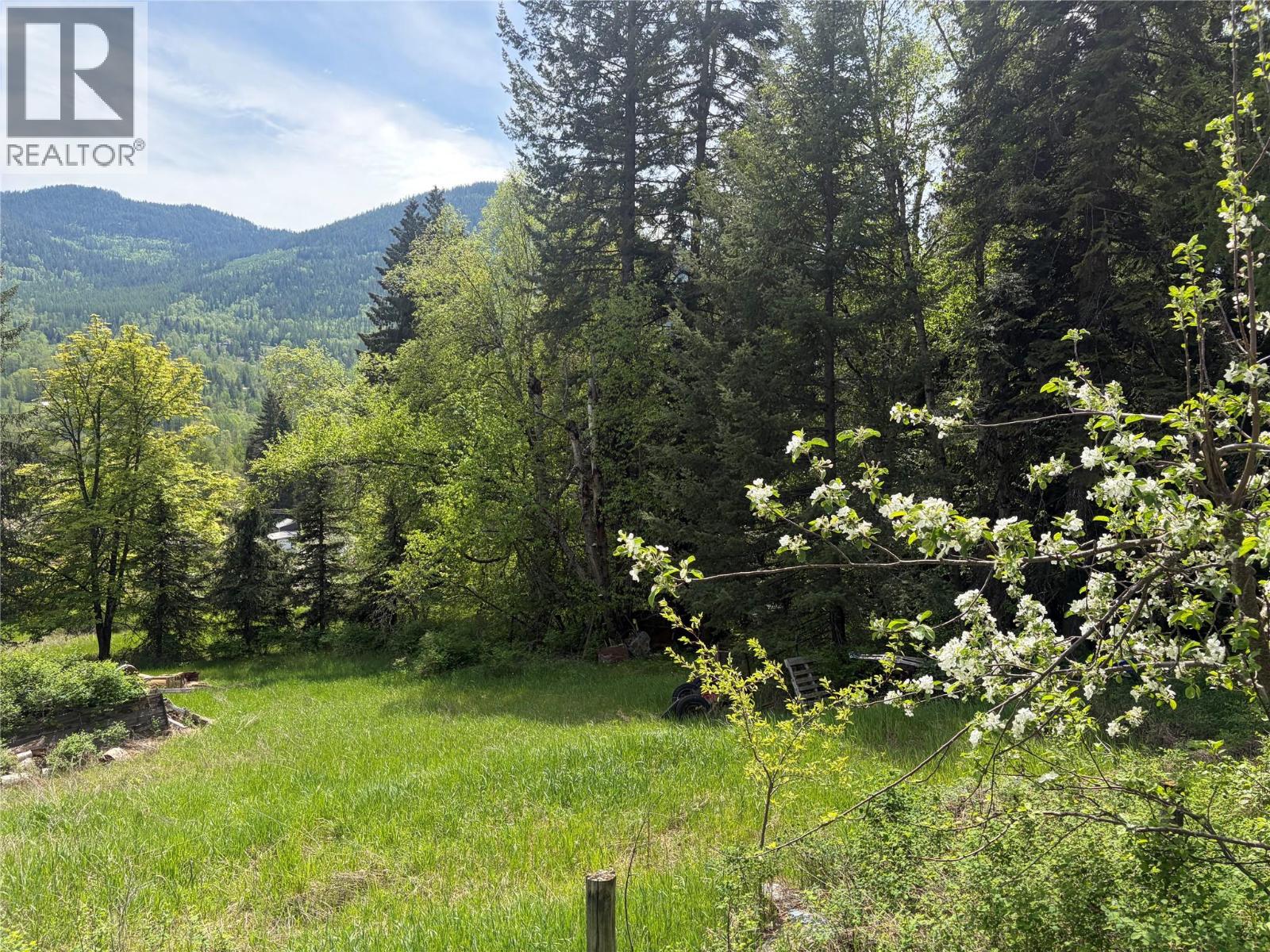 Lot 2 Christie Road, Montrose, British Columbia  V0G 1P0 - Photo 2 - 10386437