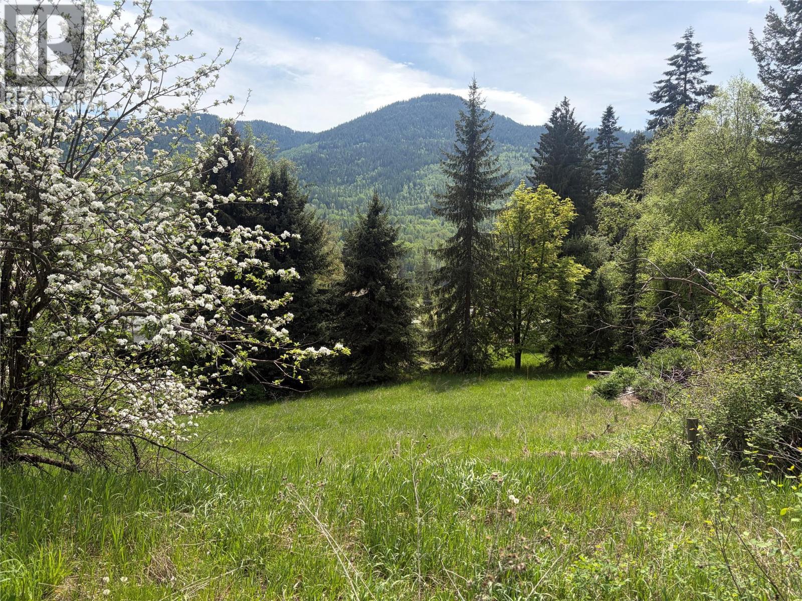 Lot 2 Christie Road, Montrose, British Columbia  V0G 1P0 - Photo 4 - 10386437