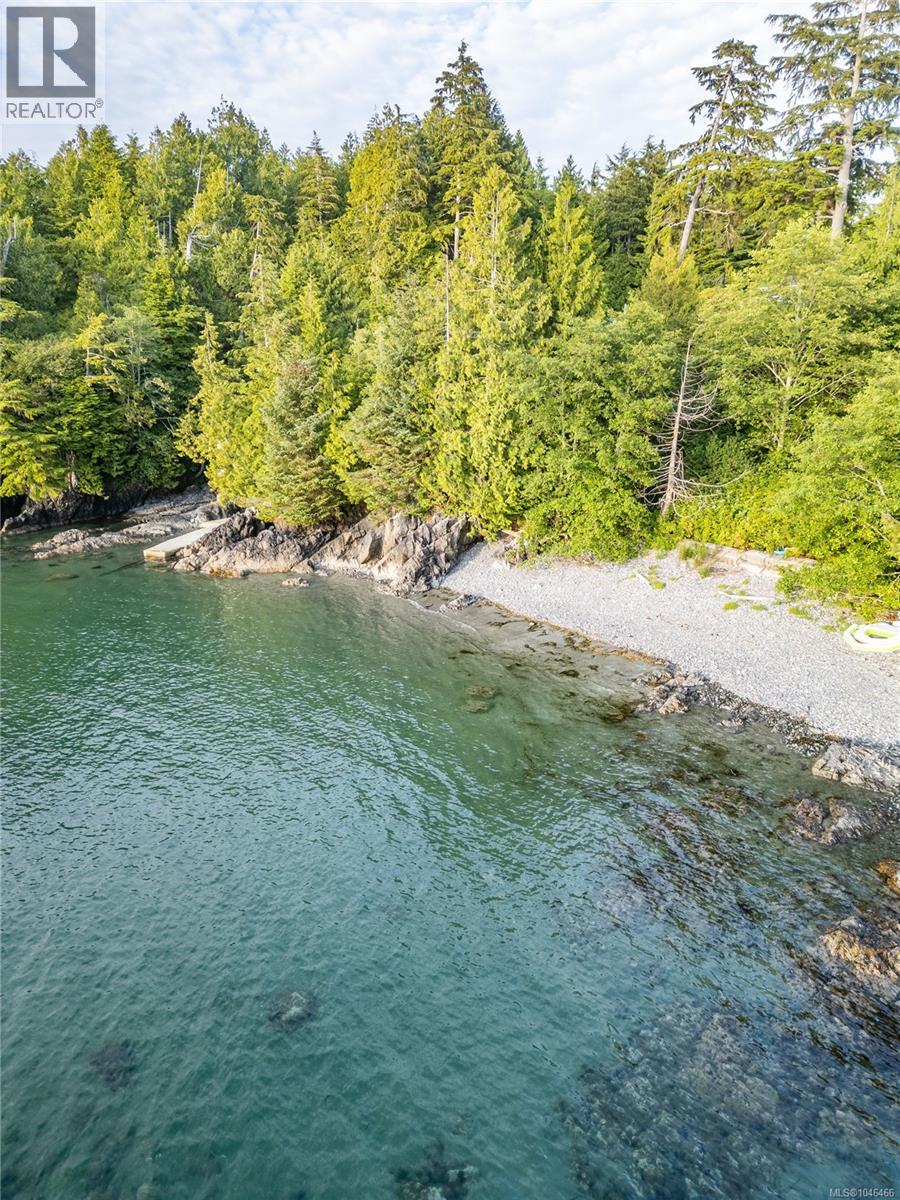 261 Cedar St, Tofino, British Columbia V0R 2Z0 - Photo 4 - 1046466