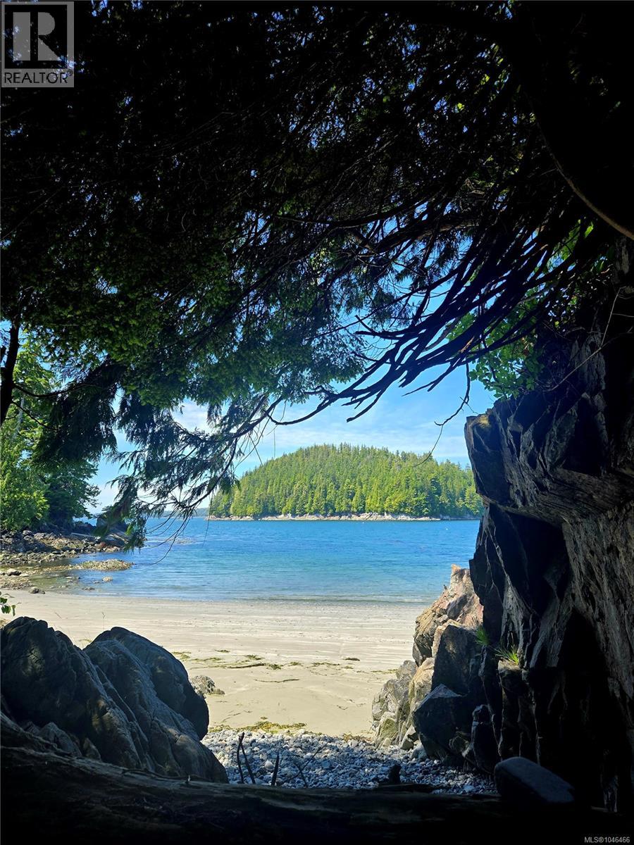261 Cedar St, Tofino, British Columbia V0R 2Z0 - Photo 9 - 1046466
