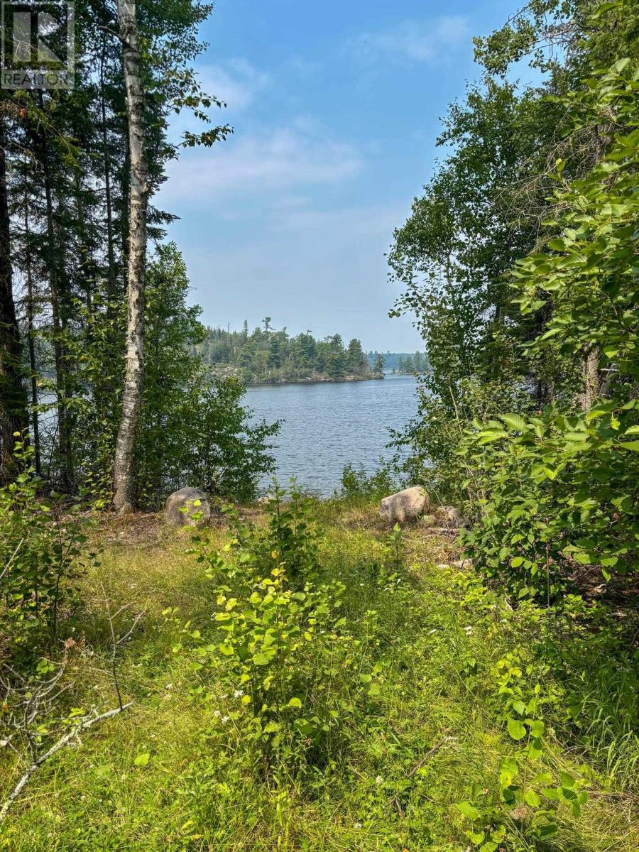 1 1 Thompson Is, Lake Of The Woods, S Of Kenora, Ontario P0X 1C0 - Photo 23 - TB252539