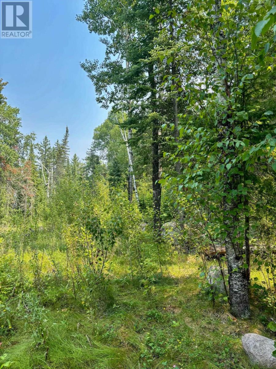 1 1 Thompson Is, Lake Of The Woods, S Of Kenora, Ontario P0X 1C0 - Photo 21 - TB252539