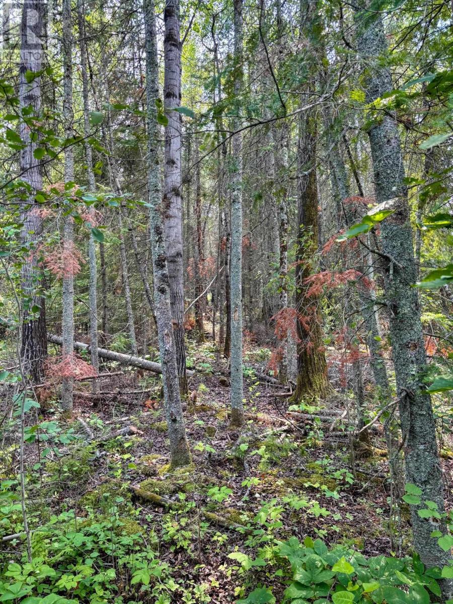 1 1 Thompson Is, Lake Of The Woods, S Of Kenora, Ontario P0X 1C0 - Photo 27 - TB252539