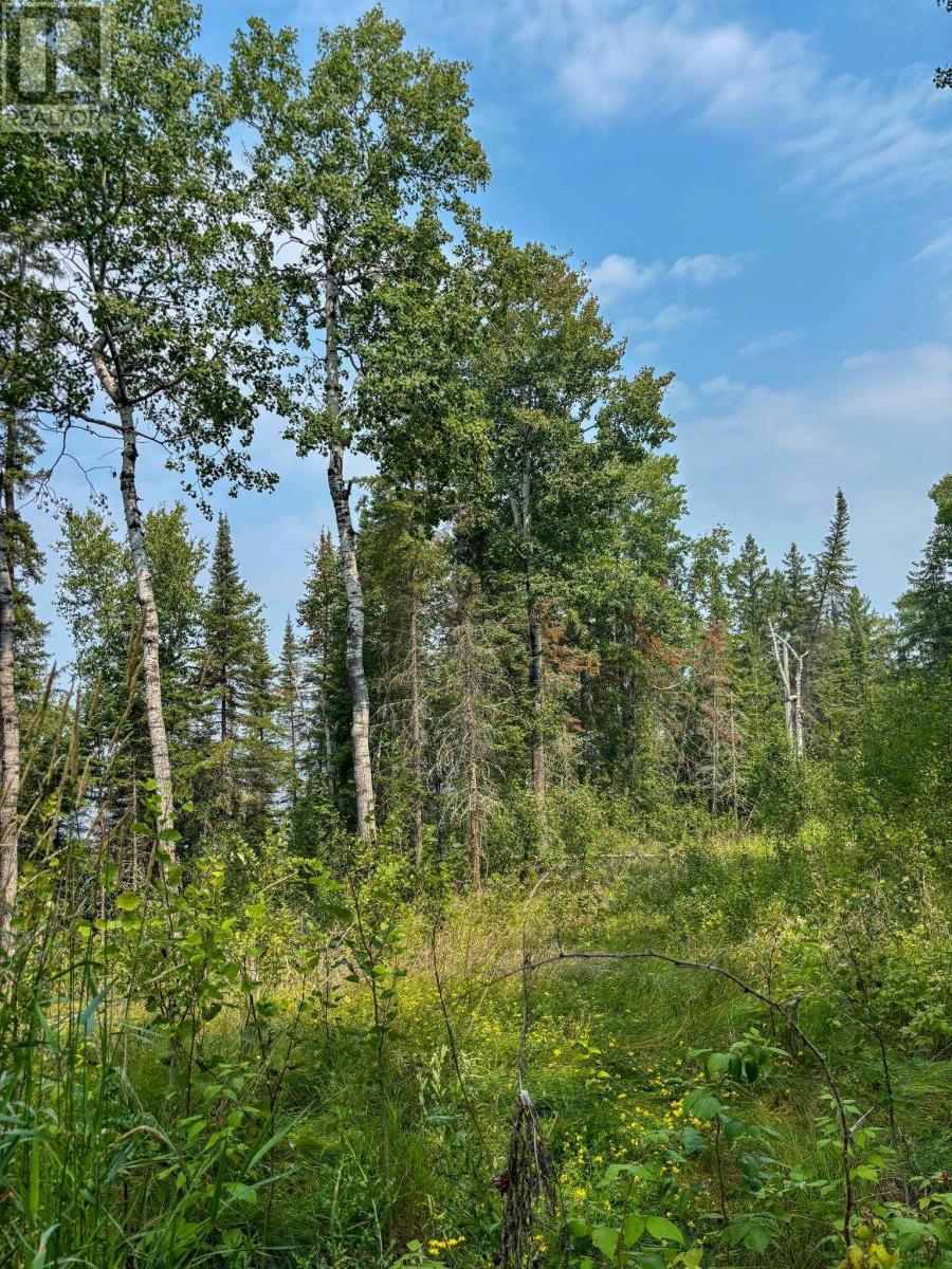 1 1 Thompson Is, Lake Of The Woods, S Of Kenora, Ontario P0X 1C0 - Photo 28 - TB252539