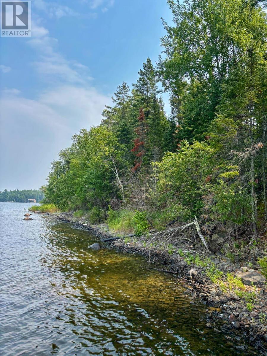 1 1 Thompson Is, Lake Of The Woods, S Of Kenora, Ontario P0X 1C0 - Photo 30 - TB252539
