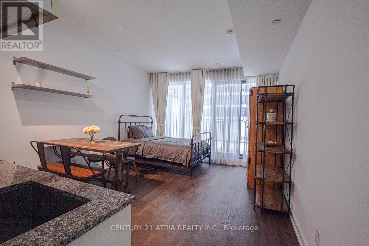 407 - 57 St Joseph Street, Toronto, Ontario  M5S 0C5 - Photo 4 - C13655104