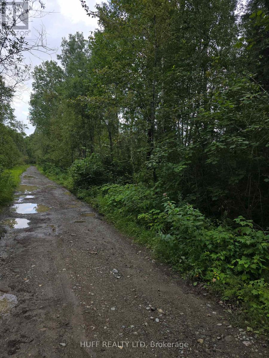 Pcl 15528 & 15527 Martin Bird Road, Kirkland Lake, Ontario P0K 1L0 - Photo 10 - T13654964