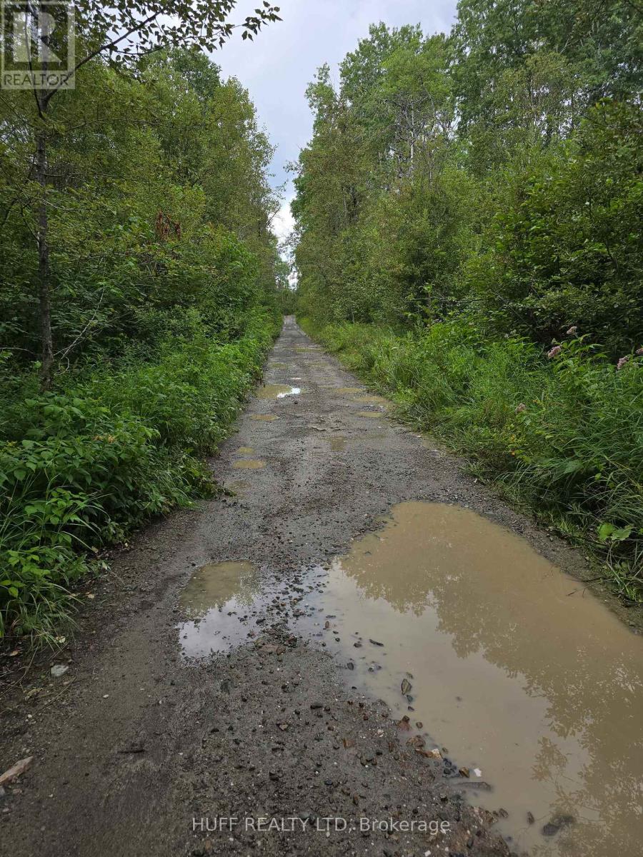 Pcl 15528 & 15527 Martin Bird Road, Kirkland Lake, Ontario P0K 1L0 - Photo 11 - T13654964
