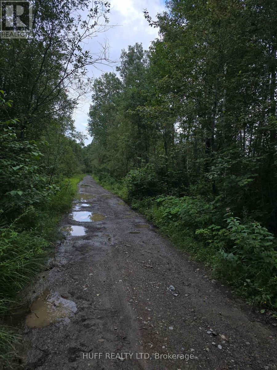 Pcl 15528 & 15527 Martin Bird Road, Kirkland Lake, Ontario P0K 1L0 - Photo 9 - T13654964