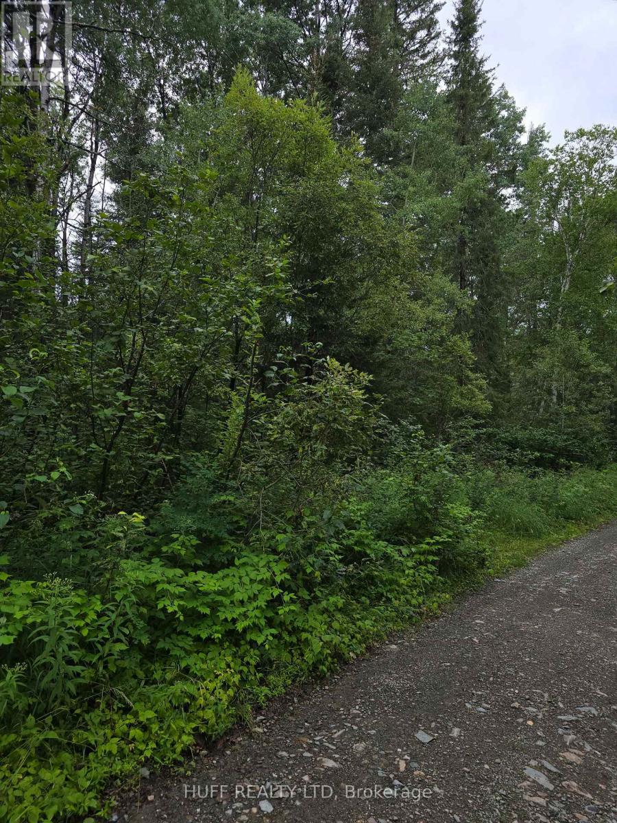 Pcl 15528 & 15527 Martin Bird Road, Kirkland Lake, Ontario P0K 1L0 - Photo 2 - T13654964