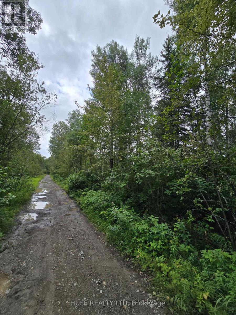 Pcl 15528 & 15527 Martin Bird Road, Kirkland Lake, Ontario P0K 1L0 - Photo 8 - T13654964