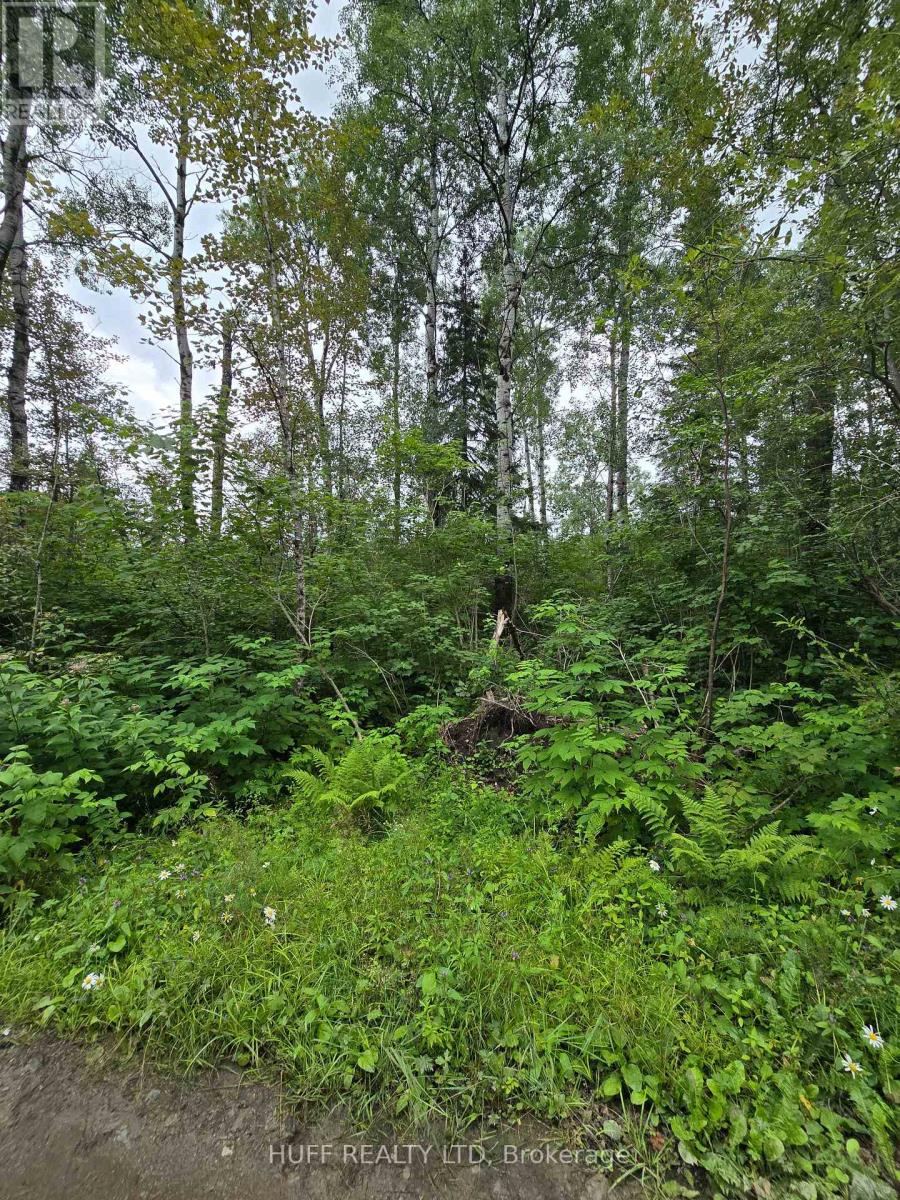 Pcl 15528 & 15527 Martin Bird Road, Kirkland Lake, Ontario P0K 1L0 - Photo 7 - T13654964