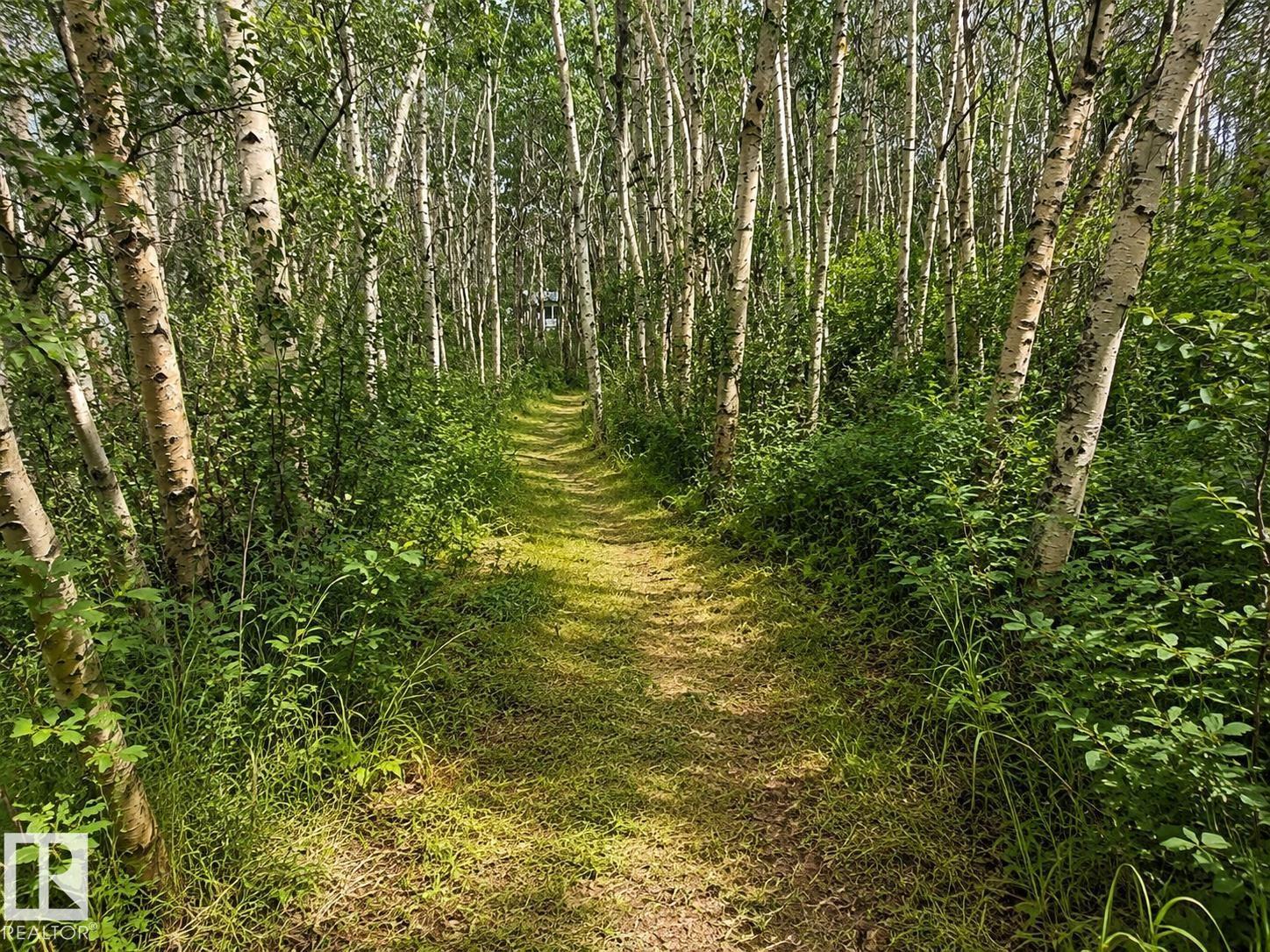 126 50514 Range Road 202, Rural Beaver County, Alberta  T0B 4J2 - Photo 19 - E4500060