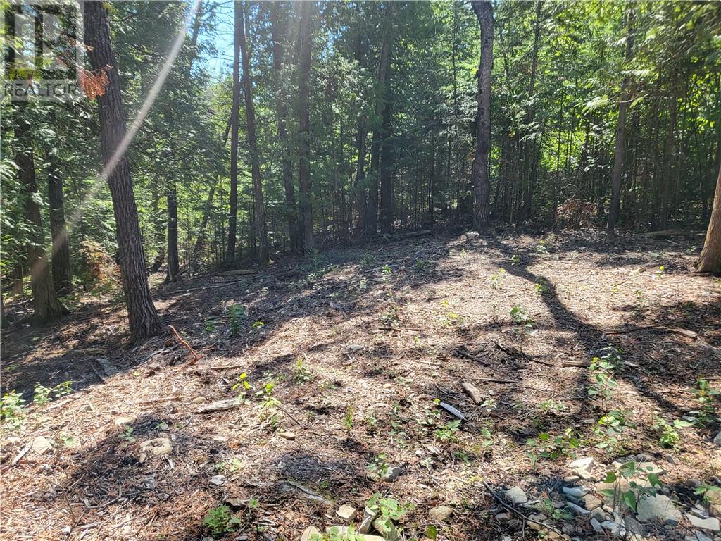 Lot 1 31m-209 Water Street, Meldrum Bay, Ontario  P0P 1R0 - Photo 12 - 2127165