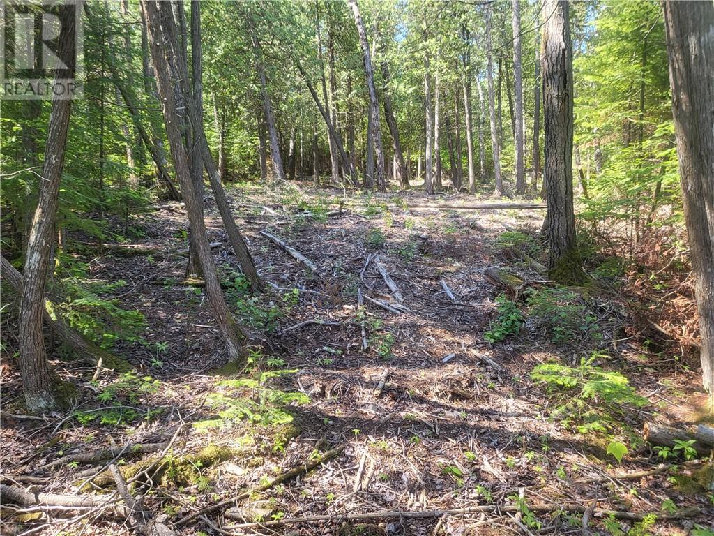 Lot 1 31m-209 Water Street, Meldrum Bay, Ontario  P0P 1R0 - Photo 16 - 2127165
