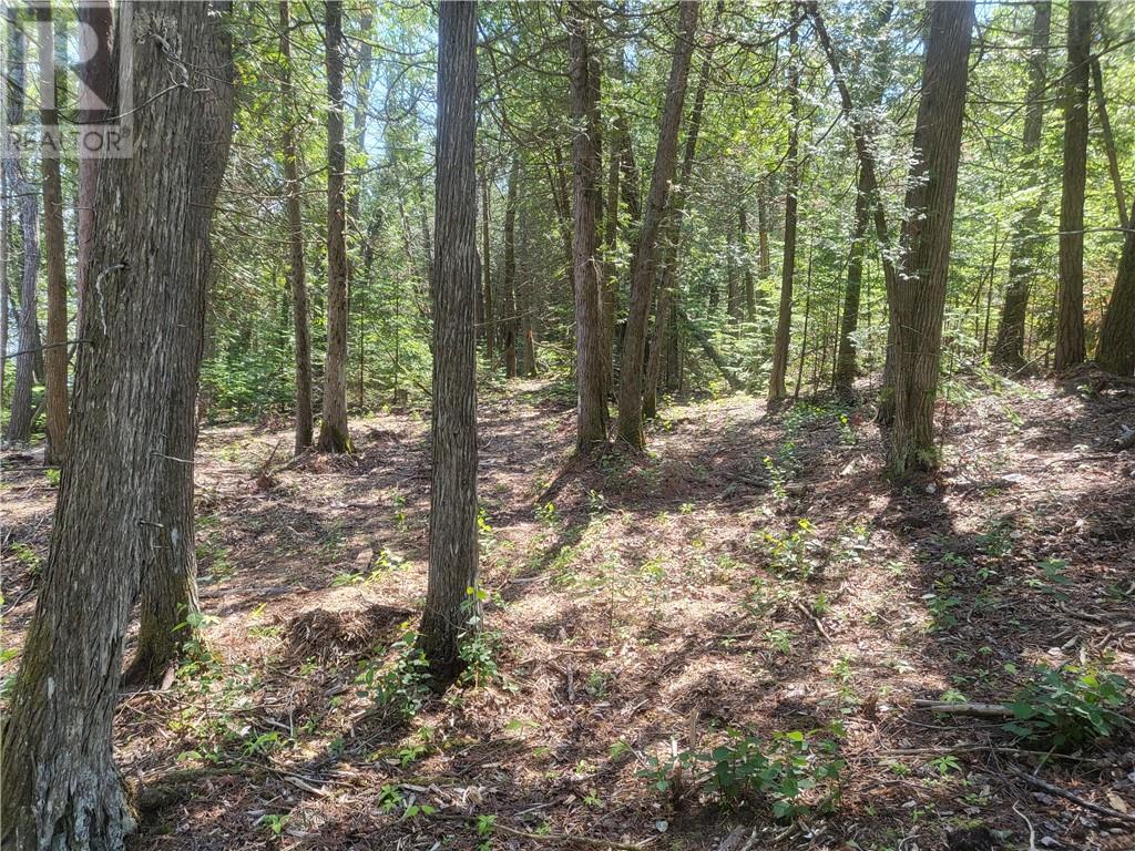 Lot 1 31m-209 Water Street, Meldrum Bay, Ontario  P0P 1R0 - Photo 18 - 2127165