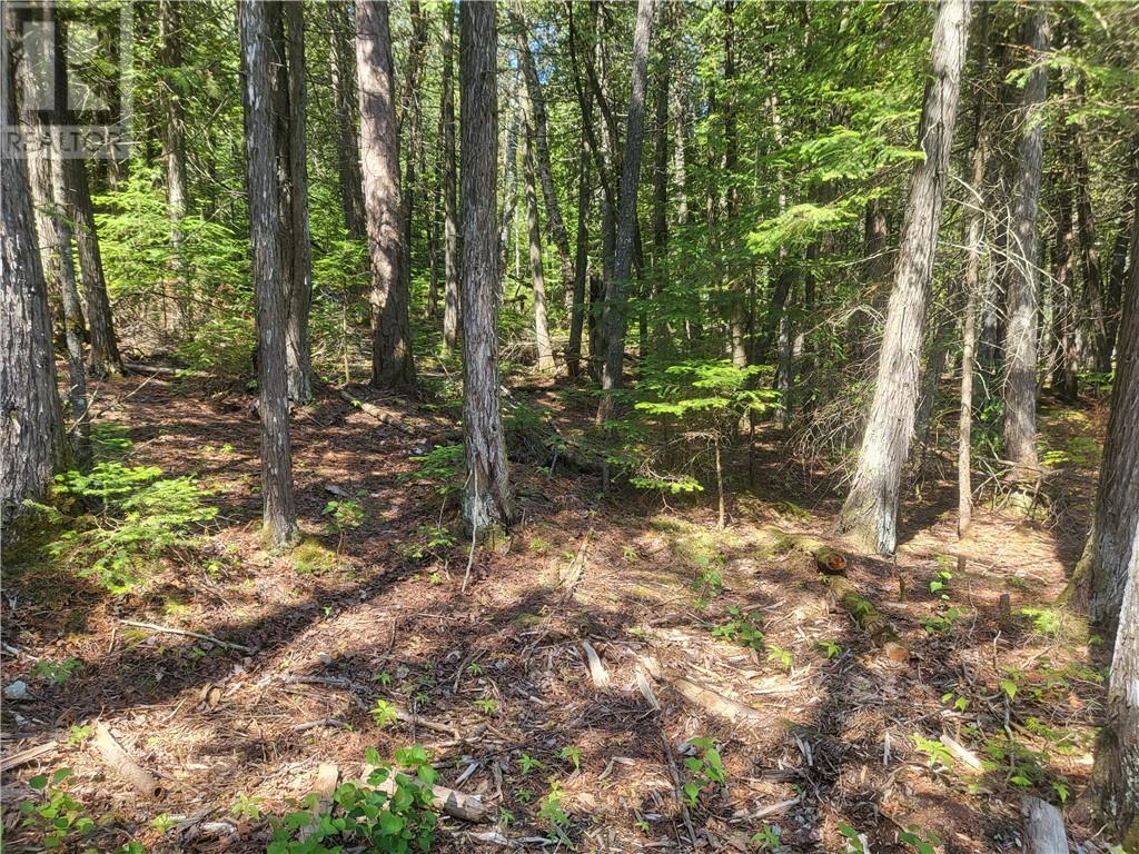 Lot 1 31m-209 Water Street, Meldrum Bay, Ontario  P0P 1R0 - Photo 17 - 2127165