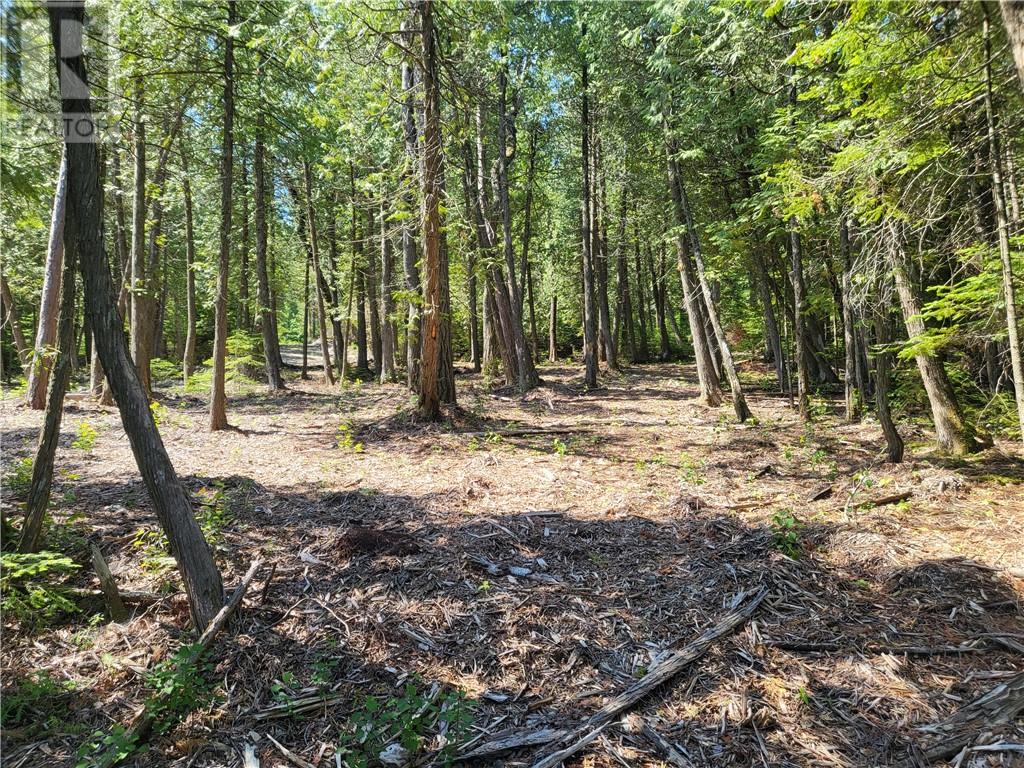 Lot 2 31m-209 Water Street, Meldrum Bay, Ontario  P0P 1R0 - Photo 12 - 2127166