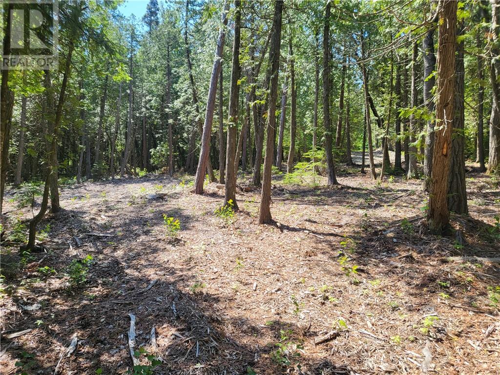 Lot 2 31m-209 Water Street, Meldrum Bay, Ontario  P0P 1R0 - Photo 13 - 2127166