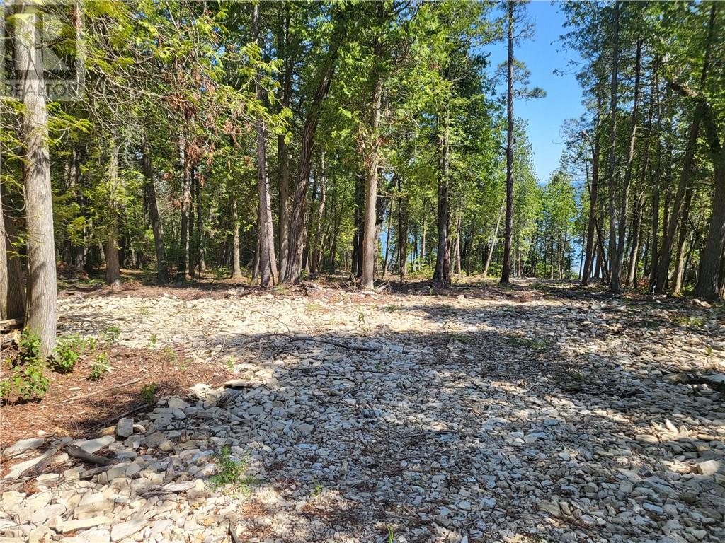 Lot 2 31m-209 Water Street, Meldrum Bay, Ontario  P0P 1R0 - Photo 7 - 2127166