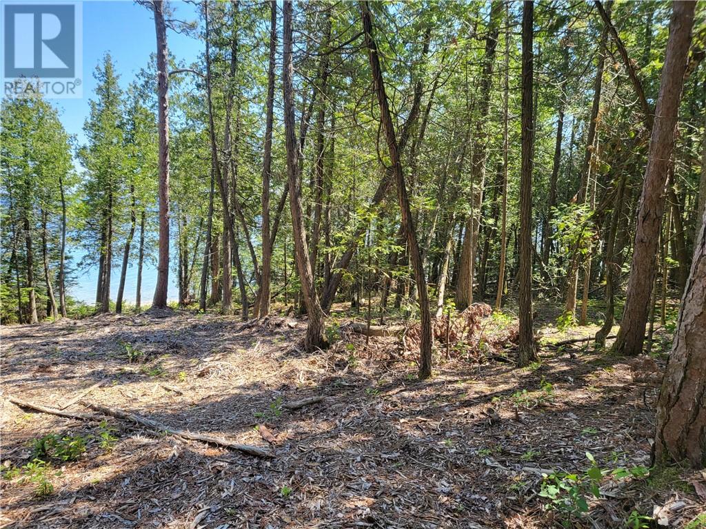 Lot 2 31m-209 Water Street, Meldrum Bay, Ontario  P0P 1R0 - Photo 9 - 2127166