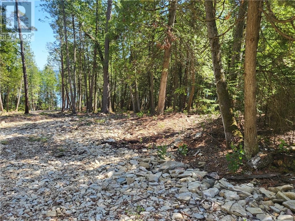 Lot 2 31m-209 Water Street, Meldrum Bay, Ontario  P0P 1R0 - Photo 8 - 2127166