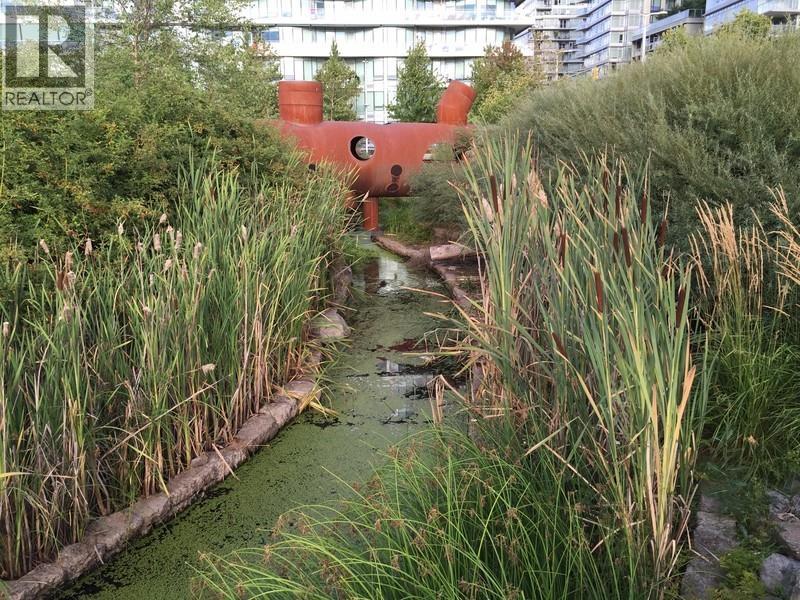 310 123 W 1st Avenue, Vancouver, British Columbia  V5Y 0H4 - Photo 37 - R3147557