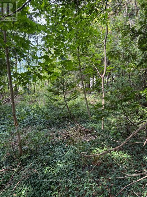 Lot 4 Plan 590 Cedar Bank Lane W, Ashfield-Colborne-Wawanosh, Ontario  N7A 3X9 - Photo 4 - X13655712