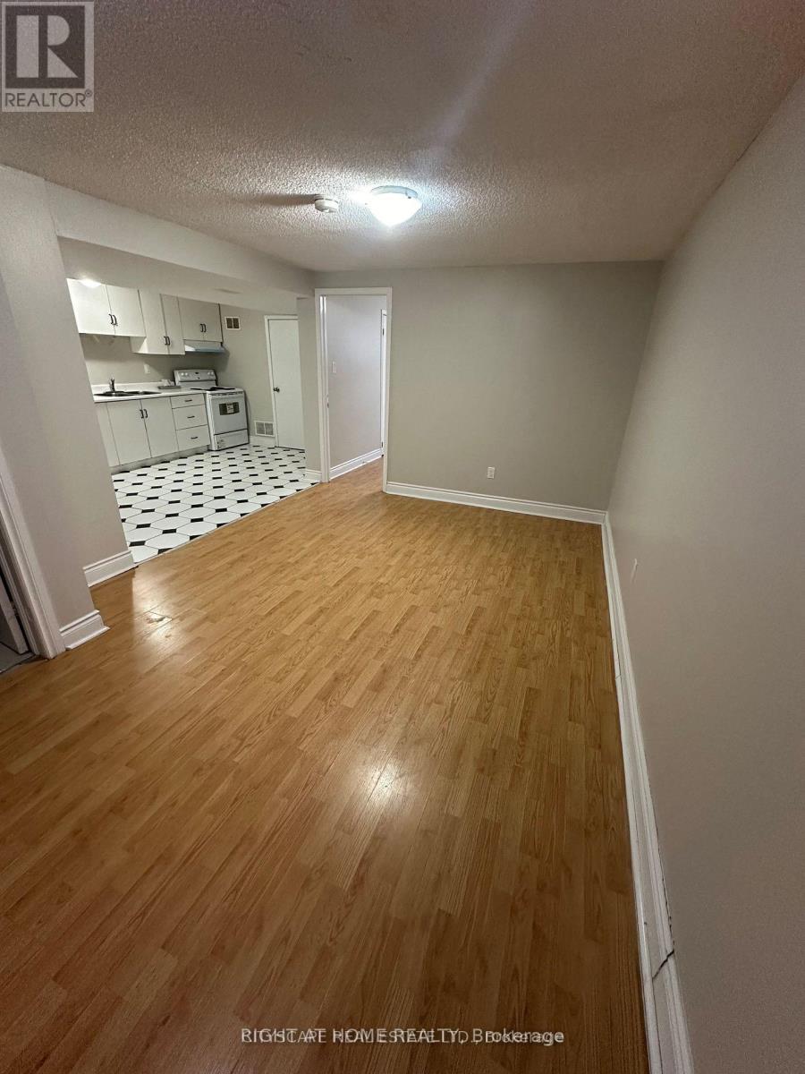 Lower - 56 Stanwell Drive, Brampton, Ontario  L6Z 3Y6 - Photo 3 - W13655666