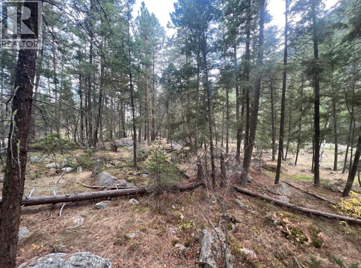 2267 Old Hedley Road, Princeton, British Columbia  V0X 1W0 - Photo 3 - 10369351