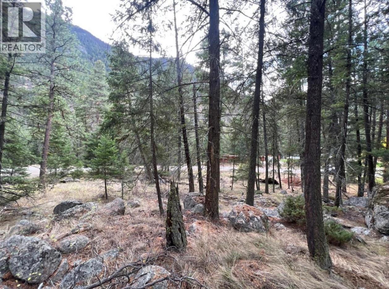 2267 Old Hedley Road, Princeton, British Columbia  V0X 1W0 - Photo 5 - 10369351