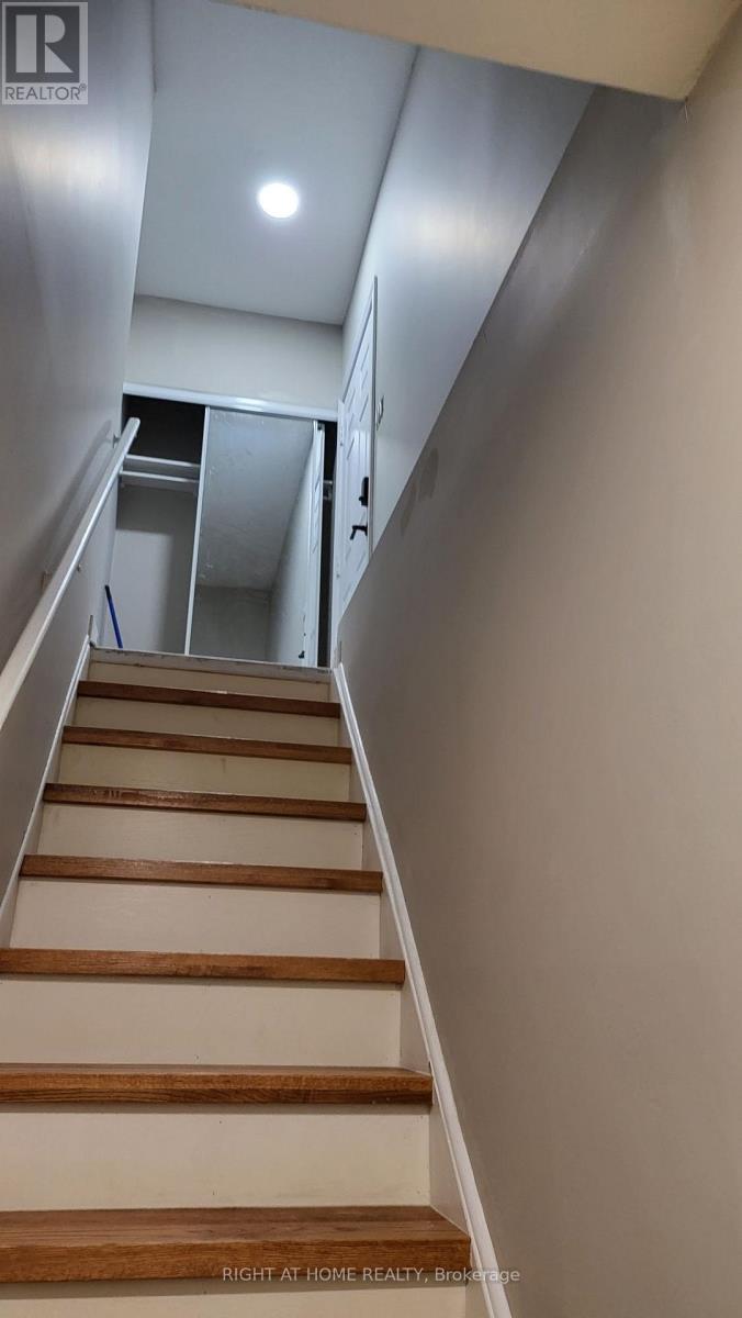 Lower - 5402 Fasdon Court, Mississauga, Ontario L5V 1Y8 - Photo 2 - W13655714