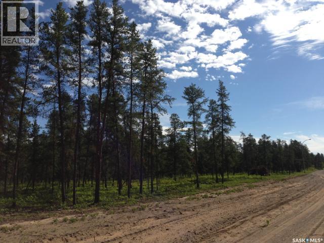 1-3 Lot 1.75 Acre, Hudson Bay Rm No. 394, Saskatchewan  S0E 0Y0 - Photo 12 - SK033176