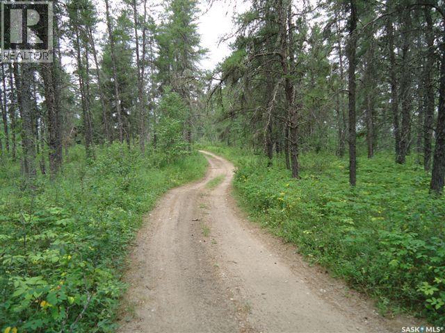 1-3 Lot 1.75 Acre, Hudson Bay Rm No. 394, Saskatchewan  S0E 0Y0 - Photo 13 - SK033176
