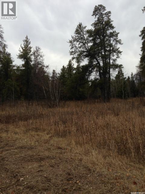 2-3 Lot 1.46 Acre, Hudson Bay Rm No. 394, Saskatchewan  S0E 0Y0 - Photo 8 - SK033177
