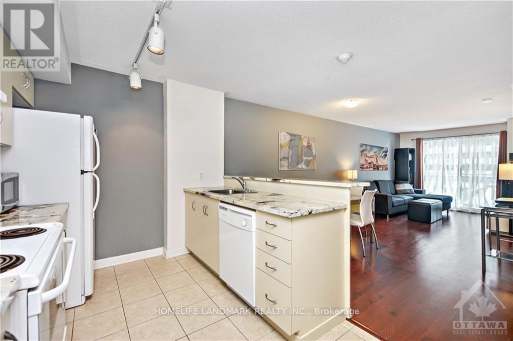 509 - 138 Somerset Street, Ottawa, Ontario K2P 0A3 - Photo 5 - X13655824