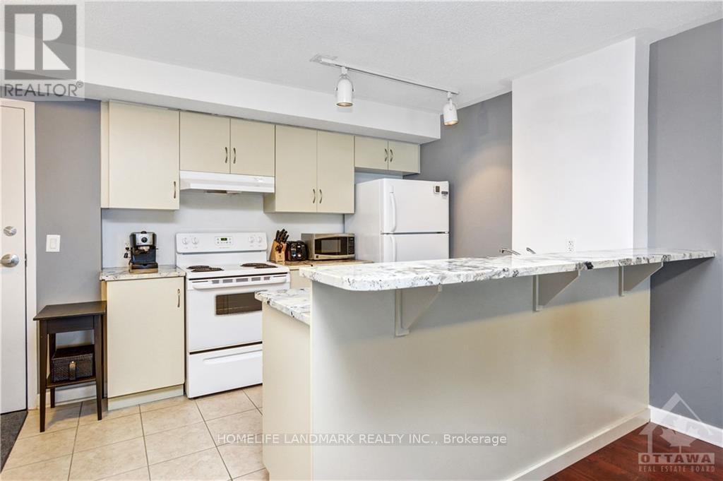 509 - 138 Somerset Street, Ottawa, Ontario K2P 0A3 - Photo 6 - X13655824