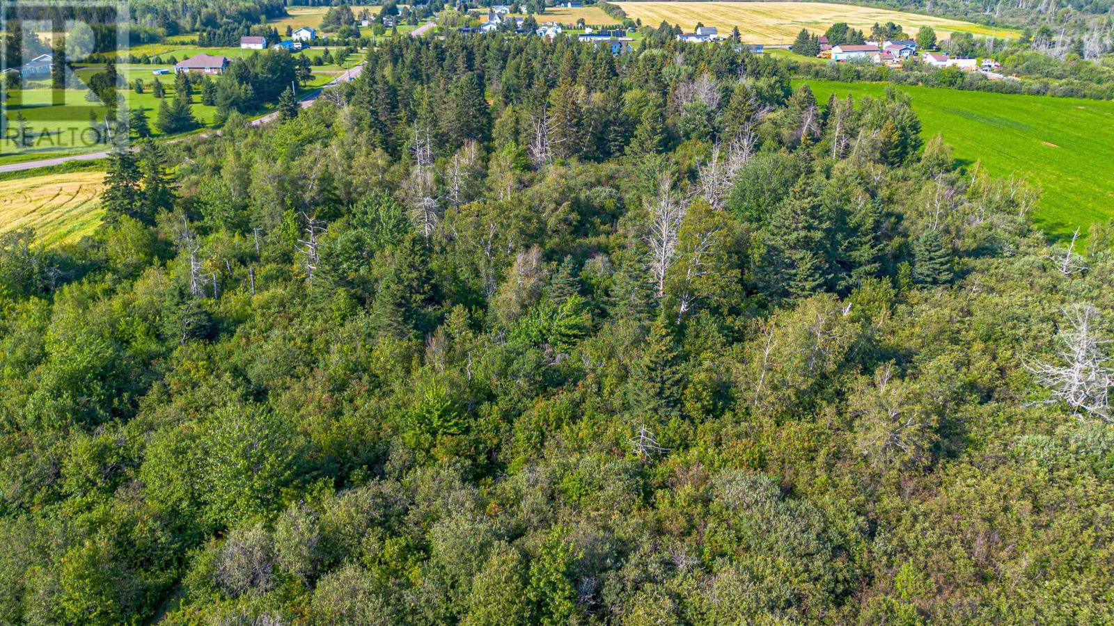 Acreage Mont Carmel Road, Mont Carmel, Prince Edward Island C0B 2E0 - Photo 18 - 202619705