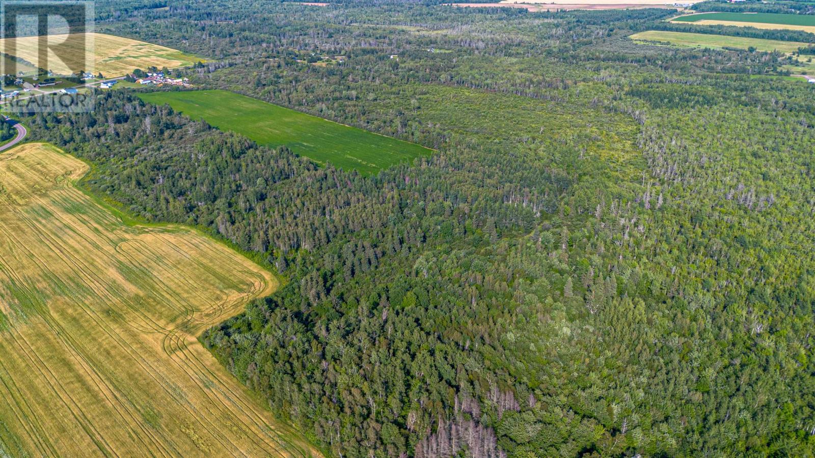 Acreage Mont Carmel Road, Mont Carmel, Prince Edward Island C0B 2E0 - Photo 13 - 202619705