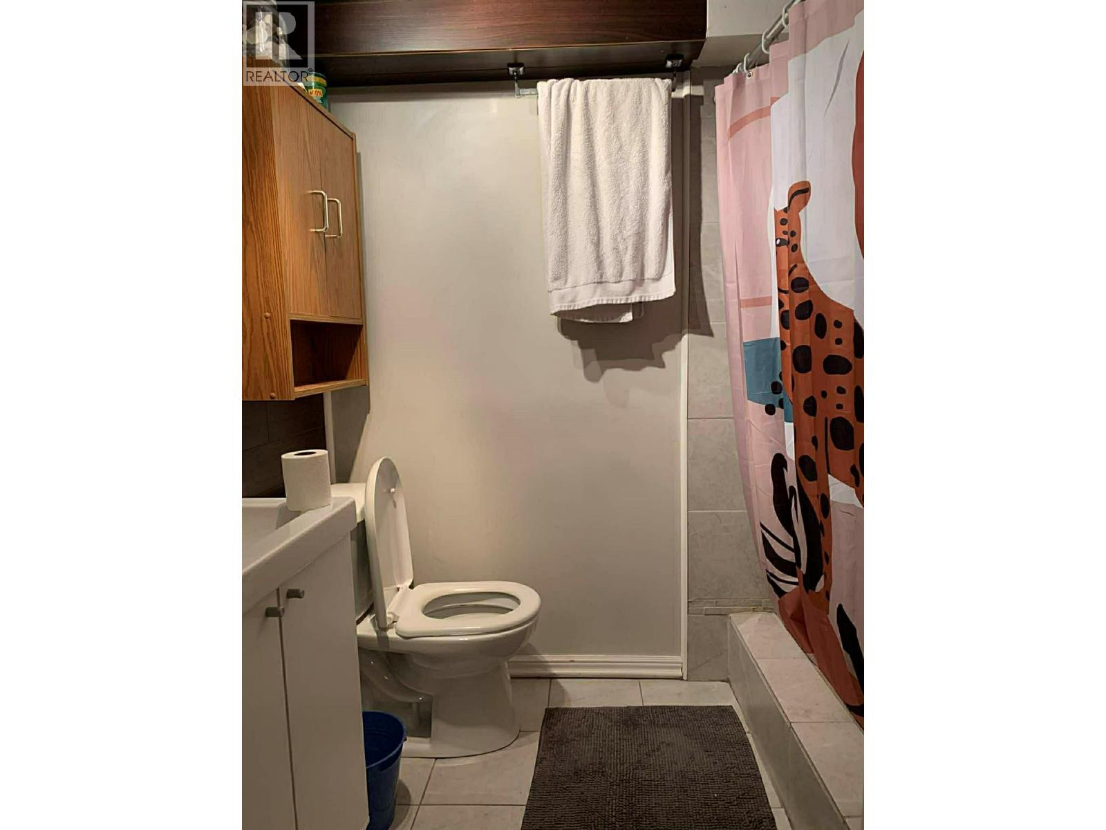 1013 Slocan Street, Slocan, British Columbia  V1L 2C0 - Photo 36 - 10392565