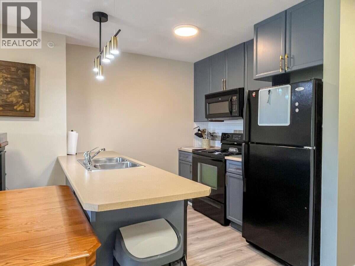 246 Hastings Avenue Unit# 405, Penticton, British Columbia  V2A 2V6 - Photo 4 - 10397286