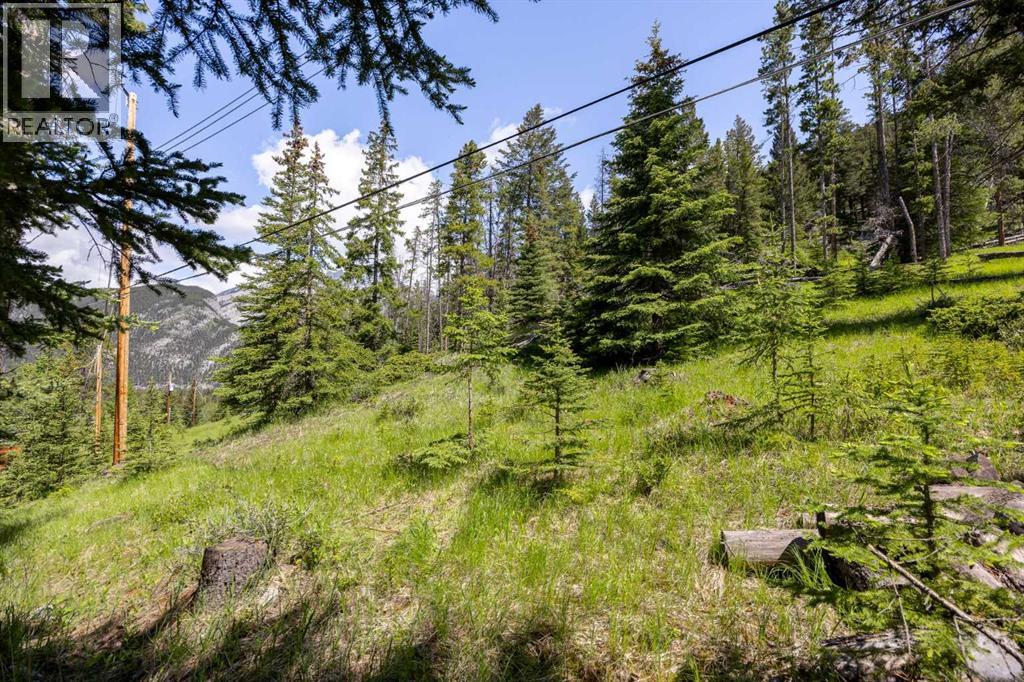 210 St. Julien Road, Banff, Alberta  T1L 1A9 - Photo 43 - A2321556