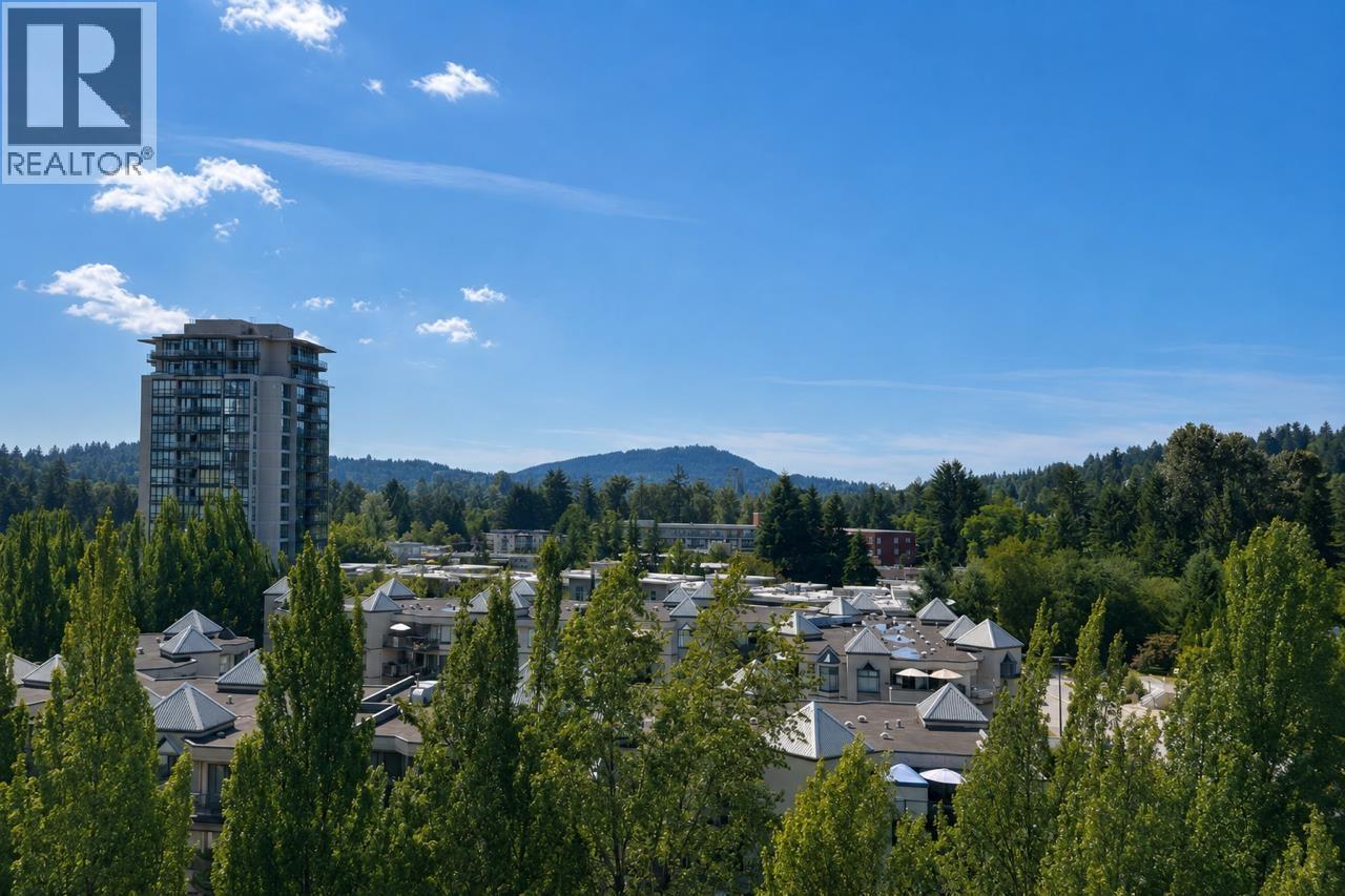 1002 2982 Burlington Drive, Coquitlam, British Columbia  V3E 1R2 - Photo 8 - R3153255