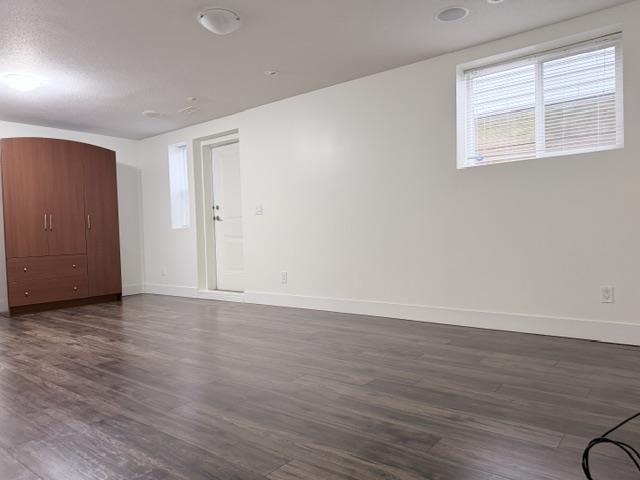 259 172a Street, Surrey, British Columbia  V3Z 9R1 - Photo 29 - R3106919