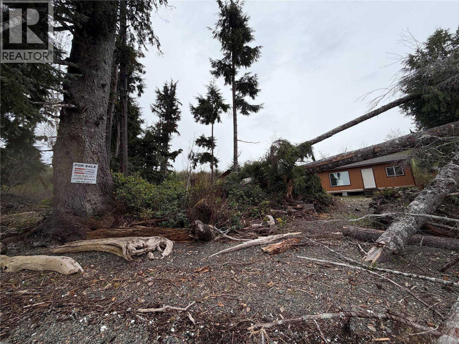 Lot 10 Ingersoll, Quatsino, British Columbia  V0N 2V0 - Photo 7 - 1030996